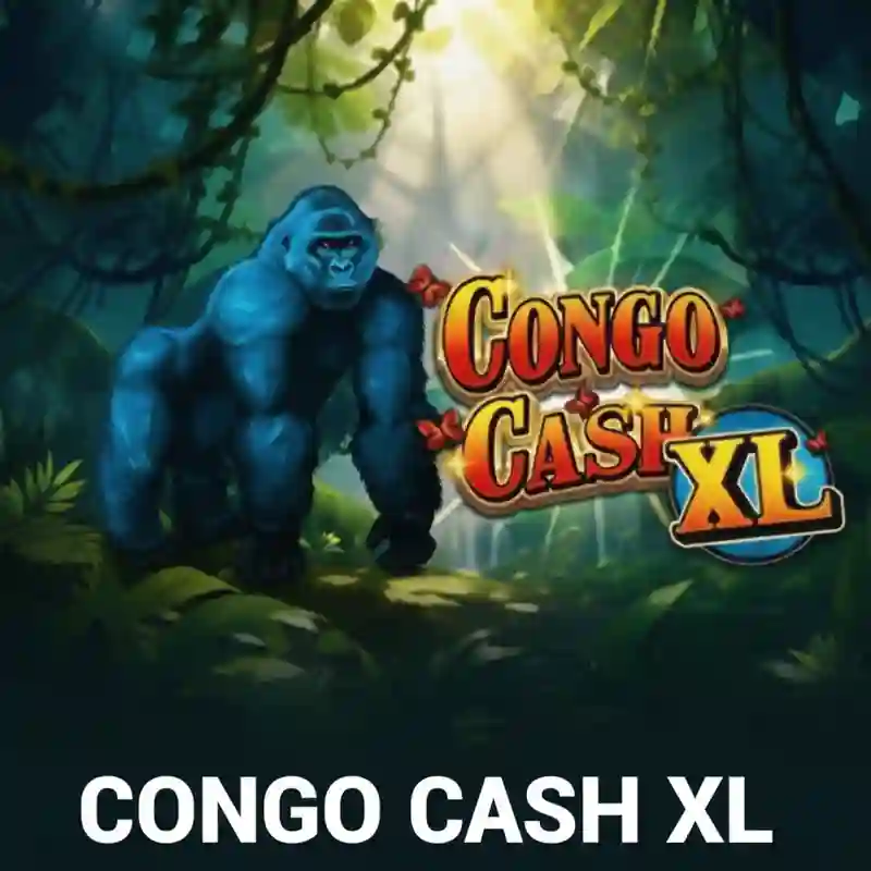 Congo Cash XL