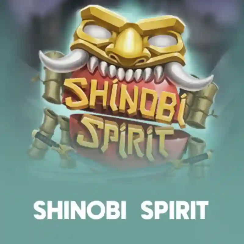 Shinobi Spirit